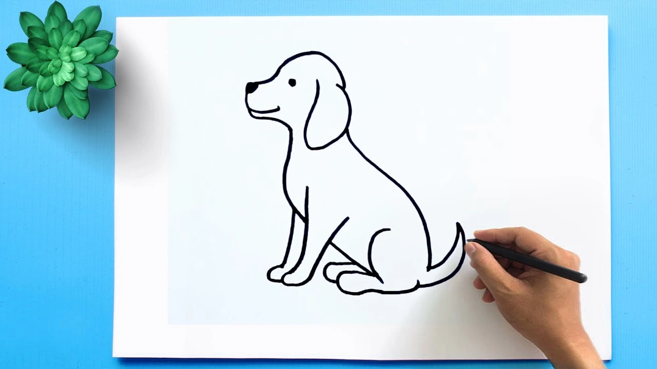 How to Draw a Dog – How to Draw a Dog Step by Step Simple