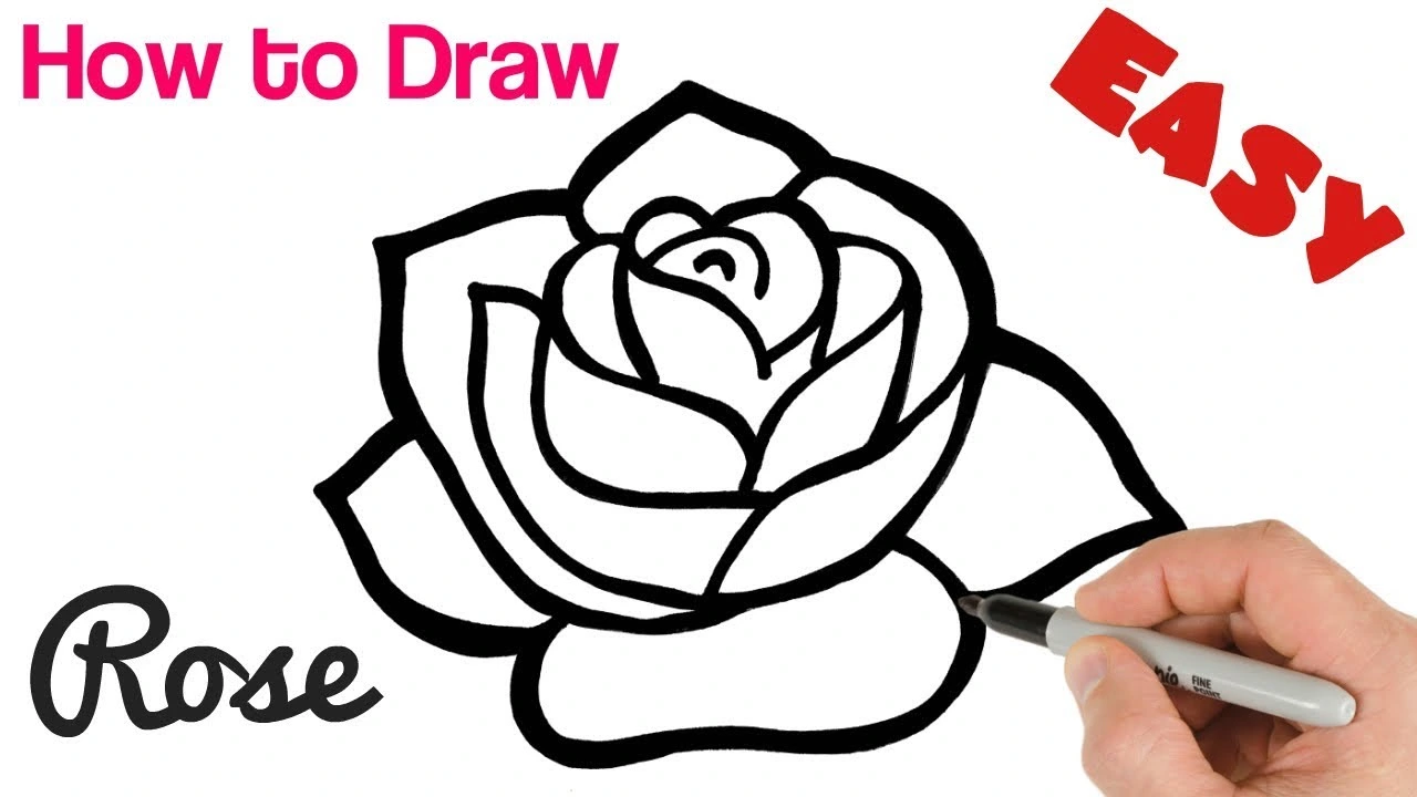 How to Draw a Rose – How to Draw a Rose Step by Simple Step